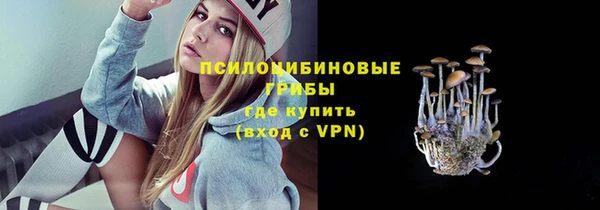 каннабис Богданович