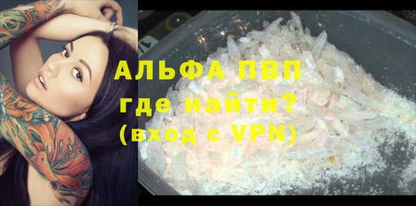 каннабис Богданович
