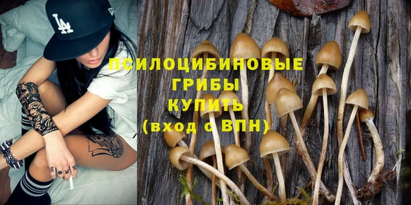 каннабис Богданович